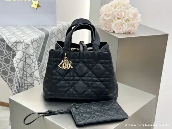 Tony Luxuries TOUJOURS MEDIUM BAG diro 0425